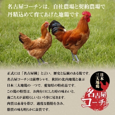 元祖白だし濃厚スープ　名古屋コーチン水炊き鍋(3～4人前)　H001-070