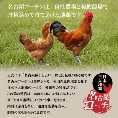 白だし仕立て　名古屋コーチン照り焼き・生姜焼き味比べセット　H001-073