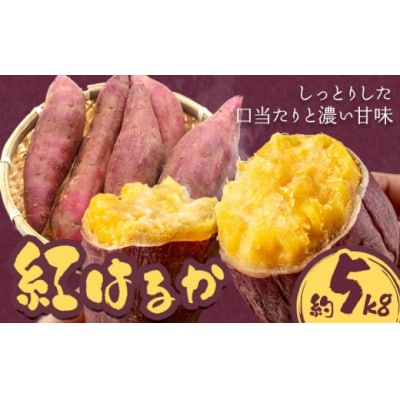 【2025年出荷】さつまいも 紅はるか 約5kg 株式会社シグマサポート