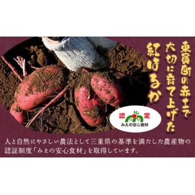【2025年先行予約】訳あり さつまいも 紅はるか 約5kg 株式会社シグマサポート