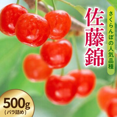 【先行予約】 令和8年産 さくらんぼ 佐藤錦 500g ( バラ詰め ) 