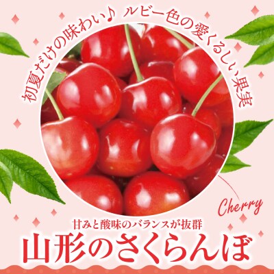 【先行予約】 令和8年産 さくらんぼ 佐藤錦 500g ( バラ詰め ) 