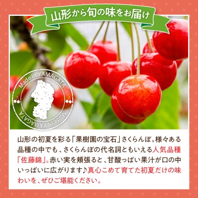 【先行予約】 令和8年産 さくらんぼ 佐藤錦 500g ( バラ詰め ) 