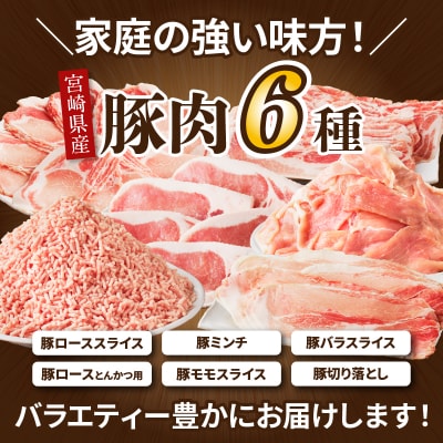 ≪宮崎県産≫豚肉6種＼てげスゲーセット/合計2kg 肉 豚 豚肉 おかず 国産_T009-030