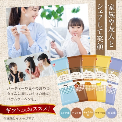 エースベーカリー スティックバウムクーヘン 5種詰合せ　バームクーヘン 詰め合わせ[134T15]