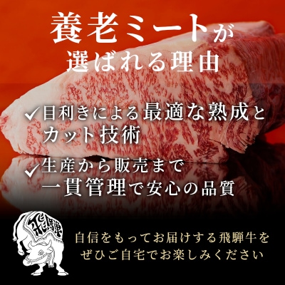 飛騨牛 赤身&霜降り2種セット (すきしゃぶ用) 計1kg