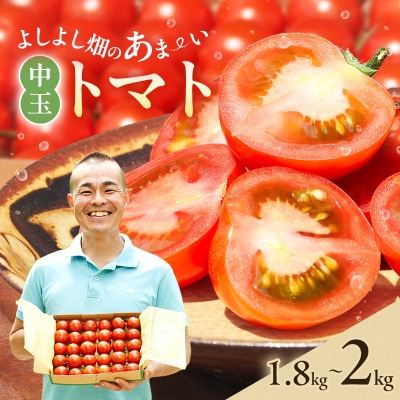 よしよし畑のあま～い トマト (中玉トマト) 1.8kg ～ 2kg 程度[No5698-1622]