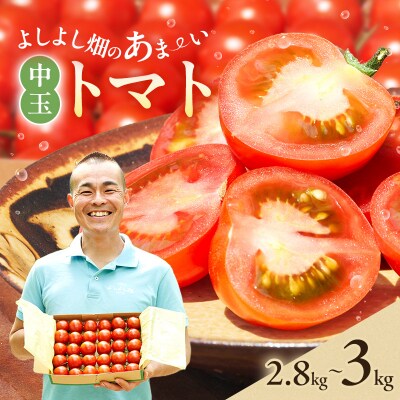 よしよし畑のあま～い トマト ( 中玉トマト ) 2.8kg ～ 3kg[No5698-1623]