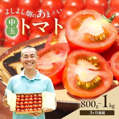 【3ヶ月連続】よしよし畑のあま～い トマト ( 中玉トマト ) 計約3kg[No5698-1625]