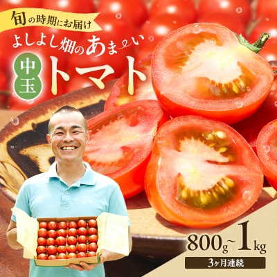 【最旬お届け確約】3ヶ月連続  よしよし畑 中玉トマト 計約3kg[No5698-1626]