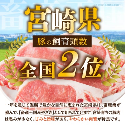 ≪宮崎県産≫豚肉6種＼てげスゲーセット/合計3kg 肉 豚 豚肉 おかず 国産_T009-031