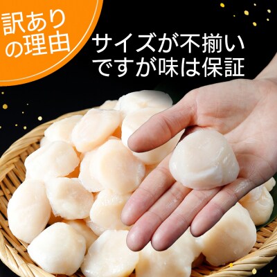 陸奥湾産ほたて貝柱　玉冷1kg(500g×2)　刺身用　サイズ不揃い　訳あり