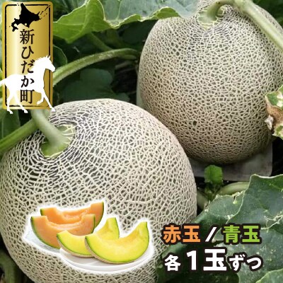<2026年7月中旬より発送> 北海道産メロン 赤肉青肉各1玉 食べ比べセット<先行受付>