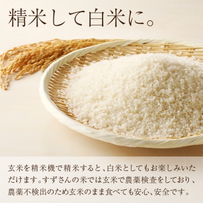 安心・安全なすずさんの米:にこまる 30kg 玄米【10月中旬より順次発送】