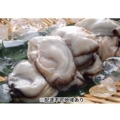 秀栄水産 瀬戸内の 牡蠣 (むき身 500g×3)  [No.5735-0227]