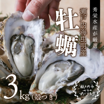 秀栄水産　瀬戸内の 牡蠣 (殻つき 約3kg)  [No.5735-0417]