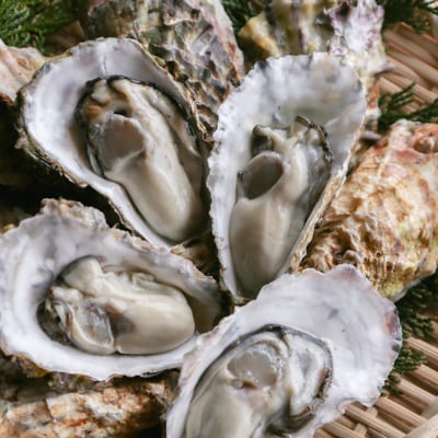 秀栄水産　瀬戸内の 牡蠣 (殻つき 約3kg)  [No.5735-0417]