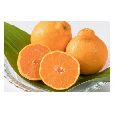 新宮みかん園の不知火　約3kg L58