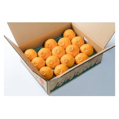 新宮みかん園の不知火　約3kg L58