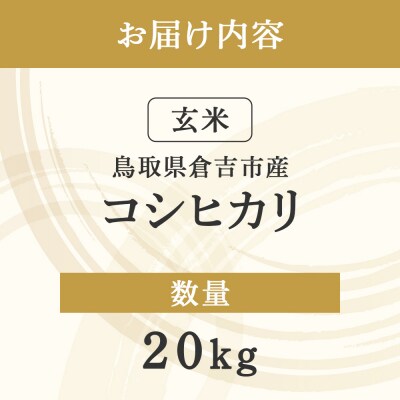 コシヒカリ 玄米 20kg 令和7年産 新米 お米 米 こしひかり 玄米 コシヒカリ