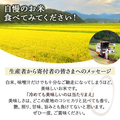 コシヒカリ 玄米 10kg 令和7年産 新米 お米 米 こしひかり 玄米 コシヒカリ