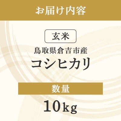 コシヒカリ 玄米 10kg 令和7年産 新米 お米 米 こしひかり 玄米 コシヒカリ