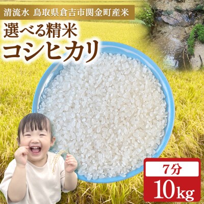 コシヒカリ 10kg(7分づき)令和7年産 新米 お米 米 こめ コメ こしひかり コシヒカリ ご飯