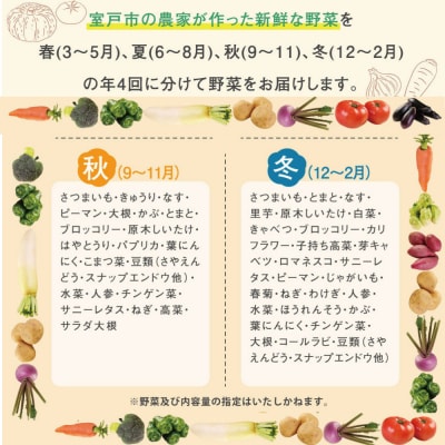 レシピ付き! 年4回春夏秋冬の旬野菜10品お届け野菜定期便　野菜セット