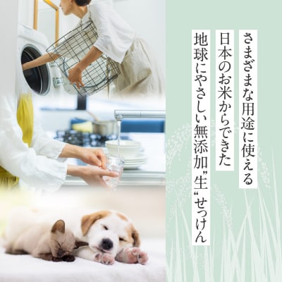 いいね せっけん(つめかえ用・700g)×1パック_0038-005-S07