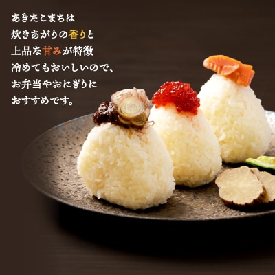 【令和7年産】あきたこまち(精米)5kg(5kg×1袋)