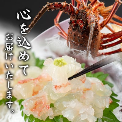 [活き〆冷凍]肝付町内之浦産　伊勢海老(えっがね)の刺身<超特大サイズ>　D47002