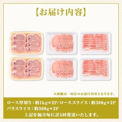 鹿児島県産豚厚切りステーキ&しゃぶしゃぶ三昧セット〈約16kg〉　E05041