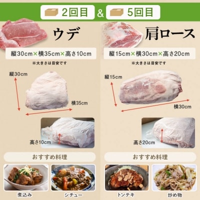 鹿児島県産豚1頭ブロックセット(6回送付定期便)　G05032