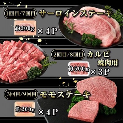 <定期便・全12回(連続)>鹿児島黒牛 満足定期便・贅沢満喫セット　G01005