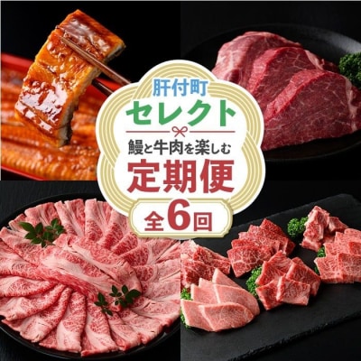肝付町セレクト定期便《鰻と牛肉を楽しむ定期便》【毎月・全6回】　F90002