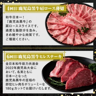 肝付町セレクト定期便《鰻と牛肉を楽しむ定期便》【毎月・全6回】　F90002