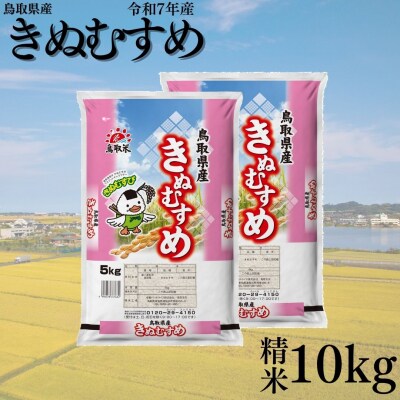 鳥取県産きぬむすめ◇精米10kg◇令和7年産(387KZ.)