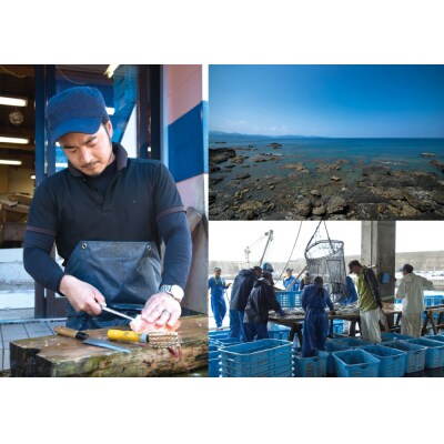 【冷凍】簡単鍋用 天然クエ 600g (2～3人前) 海鮮鍋 高級魚 しゃぶしゃぶ【R01584】