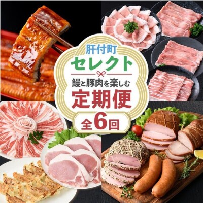 肝付町セレクト定期便《鰻と豚肉を楽しむ定期便》【毎月・全6回】　F90003