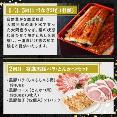 肝付町セレクト定期便《鰻と豚肉を楽しむ定期便》【毎月・全6回】　F90003