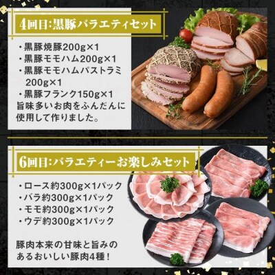 肝付町セレクト定期便《鰻と豚肉を楽しむ定期便》【毎月・全6回】　F90003