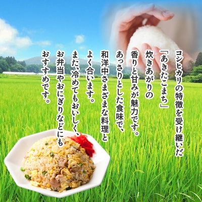 【令和7年産】あきたこまち(精米)5kg(5kg×1袋)