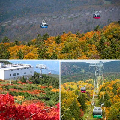 蔵王ロープウェイ乗車券(4区間券)引換券 FZ22-869 