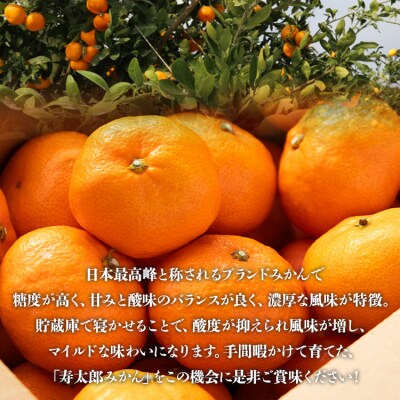 甘い完熟みかん 【寿太郎】 4kg 糖度 みかん ms-0068 