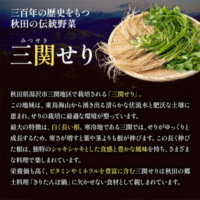 きりたんぽ鍋 4～5人前 秋田名物 三関産セリ きりたんぽ 比内地鶏 鍋セット[H2-11301]