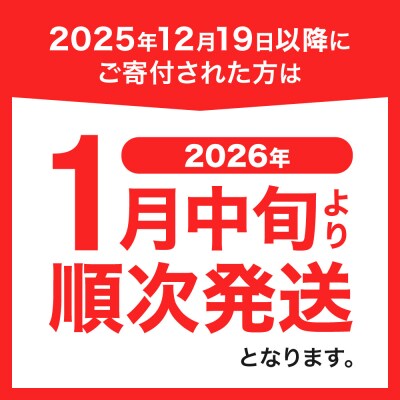 951アイスクリーム　48個セット_hs359-006