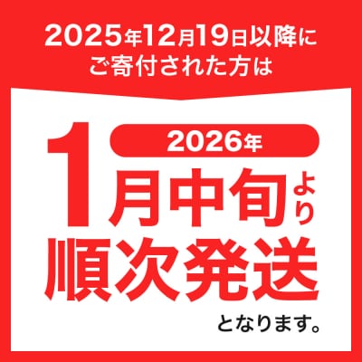 【福袋】951アイスクリーム　12個セット_hs359-031