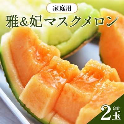 【訳あり】赤肉メロン 青肉メロン 2玉 赤青セット tn-0026