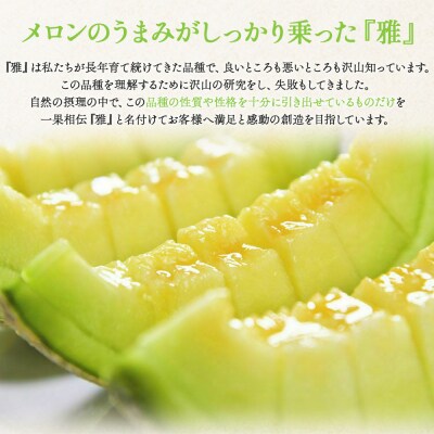 【訳あり】赤肉メロン 青肉メロン 2玉 赤青セット tn-0026