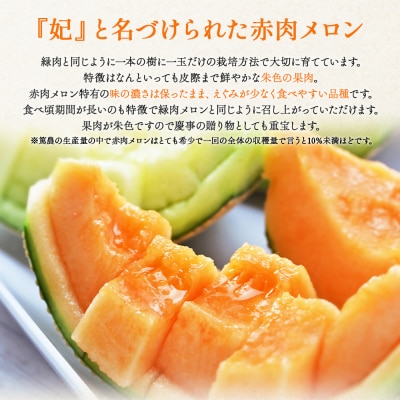 【訳あり】赤肉メロン 青肉メロン 2玉 赤青セット tn-0026